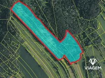 Prodej podílu lesa, Kuřimská Nová Ves, 10094 m2