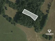 Prodej podílu lesa, Horní Lideč, 662 m2