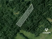 Prodej lesa, Borkovice, 8398 m2