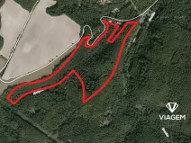 Prodej podílu lesa, Hrabyně, 20046 m2