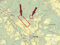 Prodej podílu lesa, Zubrnice, 2835 m2