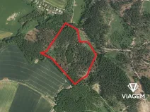 Prodej podílu lesa, Katov, 3762 m2