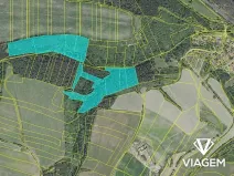 Prodej podílu lesa, Chlum, 8736 m2