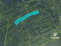 Prodej podílu lesa, Nový Jičín, 3706 m2
