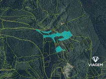 Prodej podílu lesa, Janová, 1920 m2