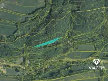 Prodej lesa, Bratřejov, 4091 m2