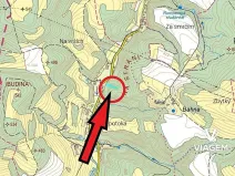 Prodej lesa, Letovice, 2436 m2