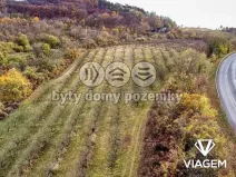 Prodej podílu pole, Roudnice nad Labem, 2009 m2