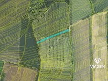 Prodej podílu pole, Boršice, 856 m2
