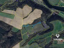 Prodej lesa, Nižbor, 9440 m2