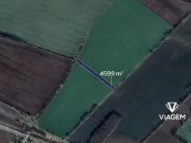 Prodej podílu pole, Pňov-Předhradí, 2299 m2