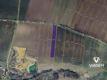 Prodej podílu pole, Klášterní Skalice, 2495 m2