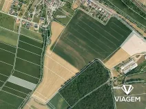 Prodej podílu pole, Velký Borek, 2045 m2