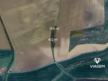 Prodej lesa, Syrovín, 320 m2