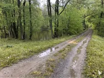 Pronájem rybníku, Votice, 2482 m2