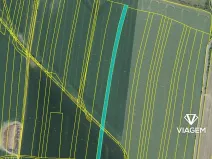 Prodej podílu pole, Křesín, 1622 m2