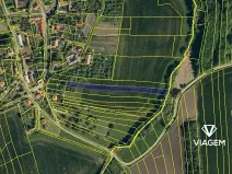 Prodej podílu pole, Dolní Těšice, 1820 m2