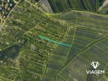 Prodej zahrady, Kyjov, 2282 m2