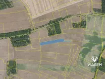 Prodej pole, Veliká Ves, 6334 m2