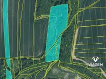 Prodej podílu pole, Úvalno, 4615 m2