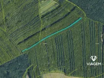 Prodej podílu lesa, Mistřice, 1097 m2