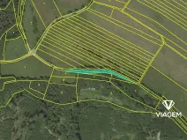 Prodej podílu lesa, Městečko Trnávka, 3311 m2