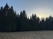 Prodej podílu lesa, Stará Paka, 4610 m2