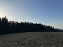 Prodej podílu lesa, Stará Paka, 4610 m2