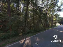 Prodej podílu lesa, Plasy, 478 m2