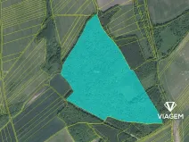 Prodej podílu lesa, Bánov, 76973 m2