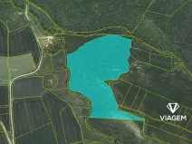 Prodej podílu lesa, Suchomasty, 10818 m2