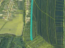 Prodej pole, Bílovice, 7022 m2