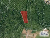 Prodej pole, Vinařice, 5664 m2