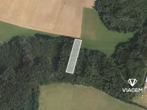 Prodej podílu lesa, Bílá, 1141 m2