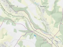 Prodej lesa, Horní Olešnice, 7037 m2