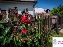 Pronájem bytu 1+kk, Křivoklát, 40 m2