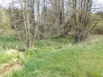 Prodej pole, Mezno - Stupčice, 8388 m2