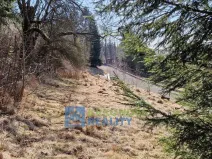 Prodej pozemku, Bernartice, 948 m2