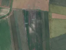 Prodej pole, Opatovice, 16113 m2