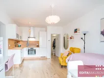 Pronájem bytu 1+kk, Olomouc, Eduarda Hamburgera, 33 m2