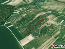 Prodej sadu/vinice, Velké Němčice, 3259 m2