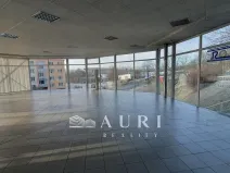 Pronájem obchodního prostoru, Rakovník, Dukel. hrdinů, 412 m2