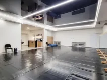 Pronájem komerční nemovitosti, Brno, Sukova, 233 m2