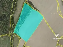 Prodej lesa, Kačlehy, 5447 m2