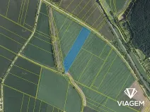 Prodej pole, Moravské Knínice, 18234 m2