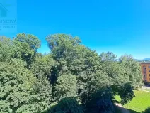 Pronájem bytu 1+1, Ostrava, Jičínská, 28 m2