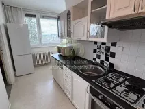 Pronájem bytu 2+1, Plzeň, Terezie Brzkové, 64 m2