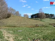 Prodej louky, Janův Důl, 2749 m2