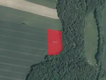 Prodej pole, Trhové Dušníky, 12554 m2