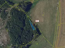 Dražba lesa, Žižkovo Pole, 119 m2